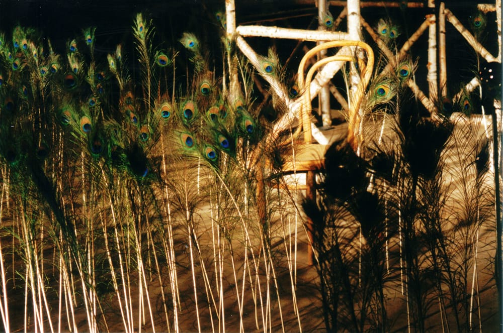 Сцены из спектакля «Черный монах», А.Чехов. 1999г. МТЮЗ. Режиссер К.Гинкас