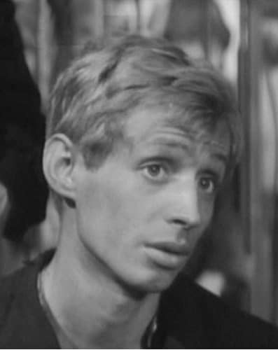 Лев Яковлевич Вайнштейн